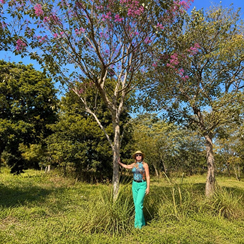 IPÊ-ROXO (HANDROANTHUS IMPETIGINOSUS) árvores de grande porte (1)