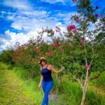 Maior Viveiro de árvores do Brasil