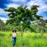 Mais de 100 espécies e 80 mil plantas estão disponíveis para todo o Brasil!