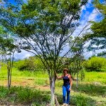 Mais de 100 espécies de árvores e 80 mil plantas estão disponíveis para todo o Brasil!