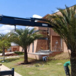 PHOENIX SYLVESTRIS (TAMAREIRA DA ÍNDIA)